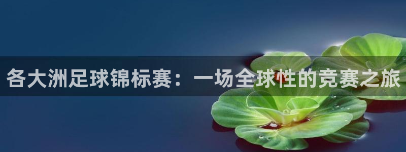 中国 世界杯：各大洲足球锦标赛：一场全球性的竞赛之旅