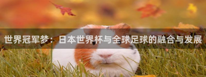 亚洲区世界杯预选赛：世界冠军梦：日本世界杯与全球足球的融合与发展