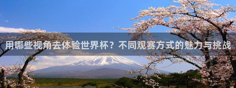世界杯官网入口：用哪些视角去体验世界杯？不同观赛方式的魅力与挑战