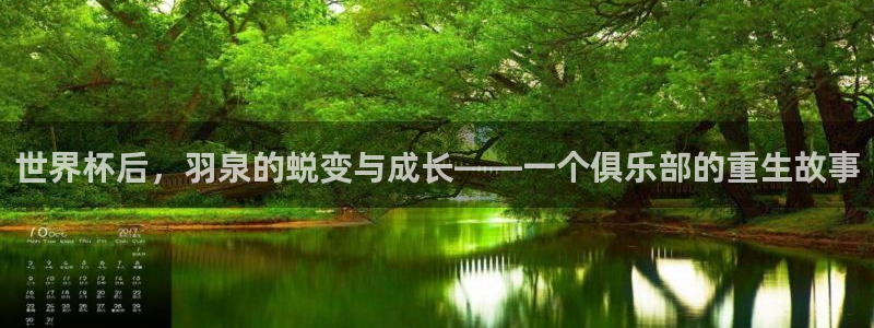 中国 世界杯：世界杯后，羽泉的蜕变与成长——一个俱乐部的重生故事