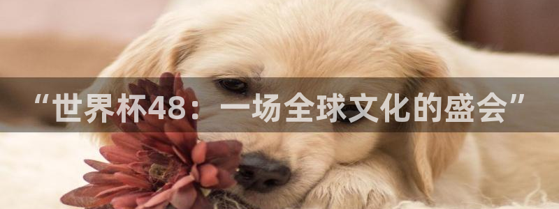 世俱杯直播：“世界杯48：一场全球文化的盛会”