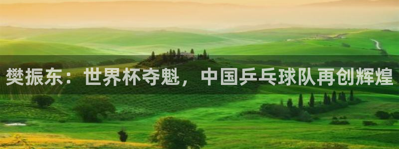 世界杯2026赛程：樊振东：世界杯夺魁，中国乒乓球队再创辉煌