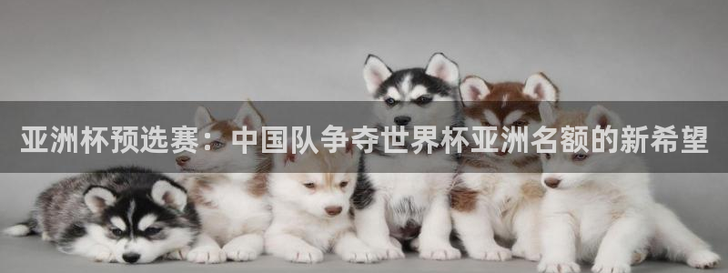 女足世界杯直播：亚洲杯预选赛：中国队争夺世界杯亚洲名额的新希望