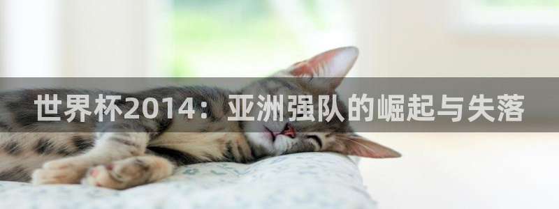 世界杯16强赛程表：世界杯2014：亚洲强队的崛起与失落